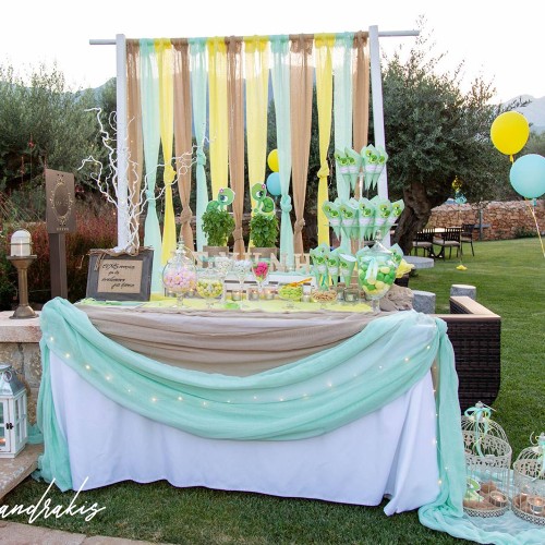 Τραπέζι ευχών με θέμα Χελωνάκι